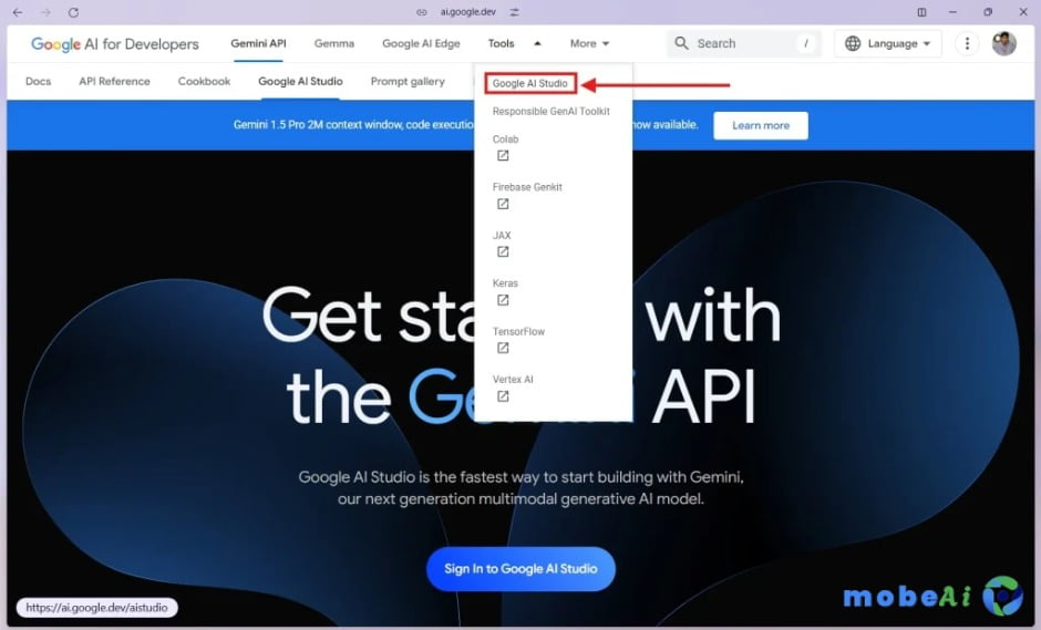 Google AI Studio Page