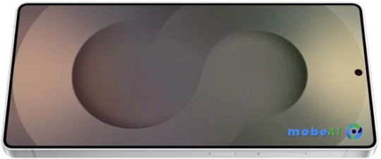 Samsung Galaxy S25 Ultra Screen